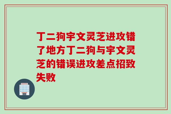 丁二狗宇文灵芝进攻错了地方丁二狗与宇文灵芝的错误进攻差点招致失败