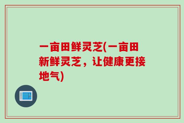 一亩田鲜灵芝(一亩田新鲜灵芝，让健康更接地气)