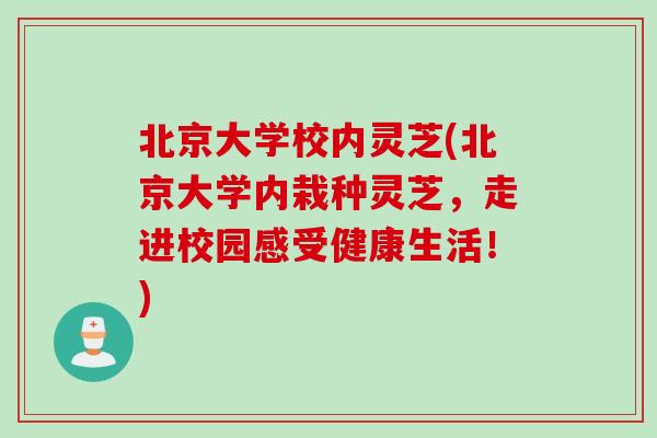 北京大学校内灵芝(北京大学内栽种灵芝，走进校园感受健康生活！)