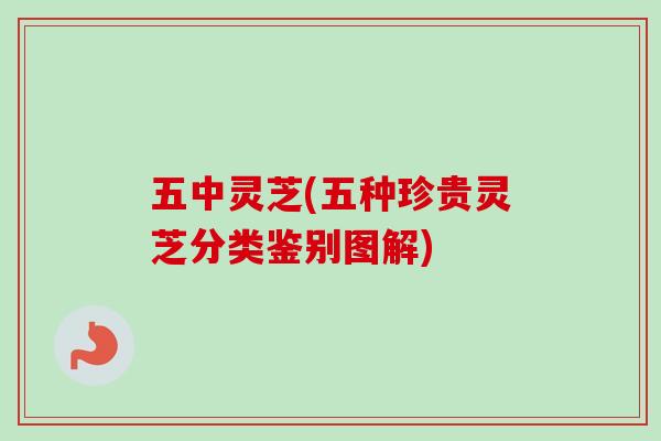 五中灵芝(五种珍贵灵芝分类鉴别图解)