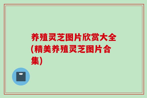 养殖灵芝图片欣赏大全(精美养殖灵芝图片合集)