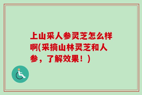 上山采人参灵芝怎么样啊(采摘山林灵芝和人参，了解效果！)