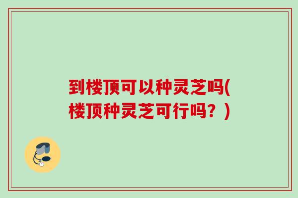到楼顶可以种灵芝吗(楼顶种灵芝可行吗？)