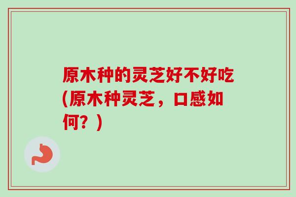 原木种的灵芝好不好吃(原木种灵芝，口感如何？)