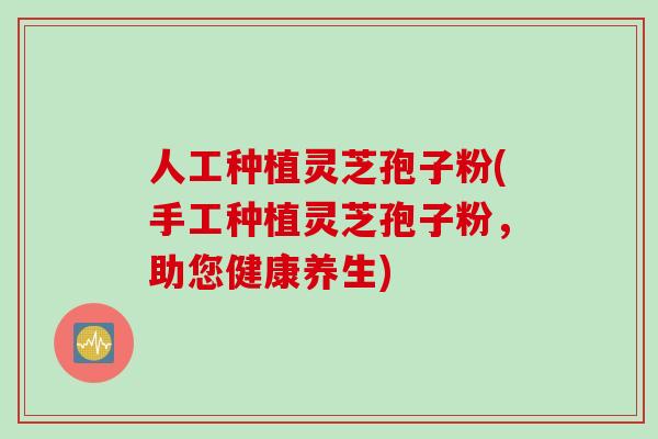 人工种植灵芝孢子粉(手工种植灵芝孢子粉，助您健康养生)