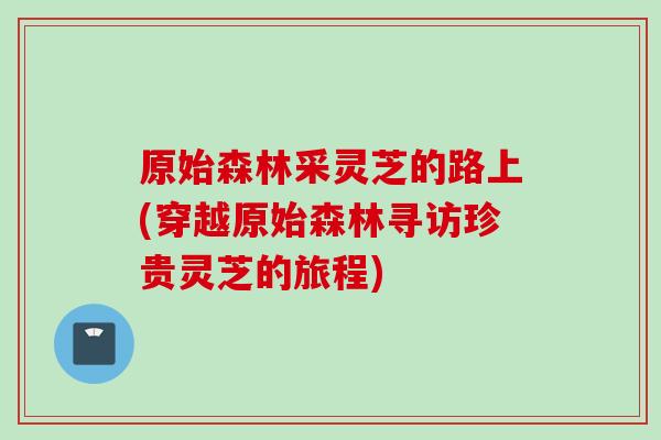 原始森林采灵芝的路上(穿越原始森林寻访珍贵灵芝的旅程) 原始森林采灵芝的路上(穿越原始森林寻访珍贵灵芝的旅程)