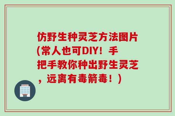 仿野生种灵芝方法图片(常人也可DIY！手把手教你种出野生灵芝，远离有毒箭毒！)