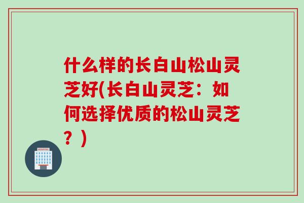什么样的长白山松山灵芝好(长白山灵芝：如何选择优质的松山灵芝？)