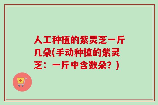 人工种植的紫灵芝一斤几朵(手动种植的紫灵芝：一斤中含数朵？)
