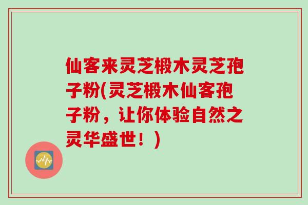 仙客来灵芝椴木灵芝孢子粉(灵芝椴木仙客孢子粉，让你体验自然之灵华盛世！)