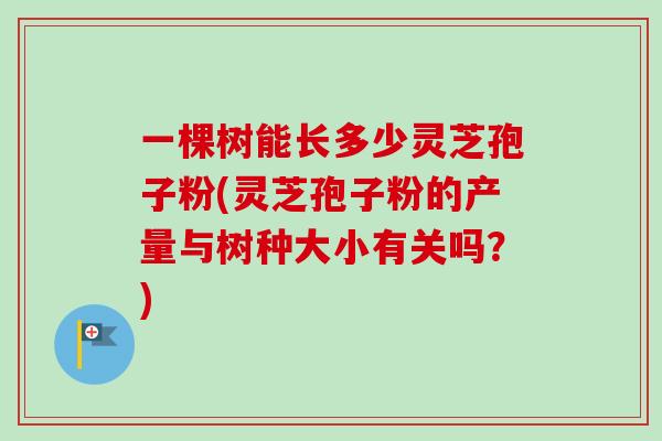 一棵树能长多少灵芝孢子粉(灵芝孢子粉的产量与树种大小有关吗？)
