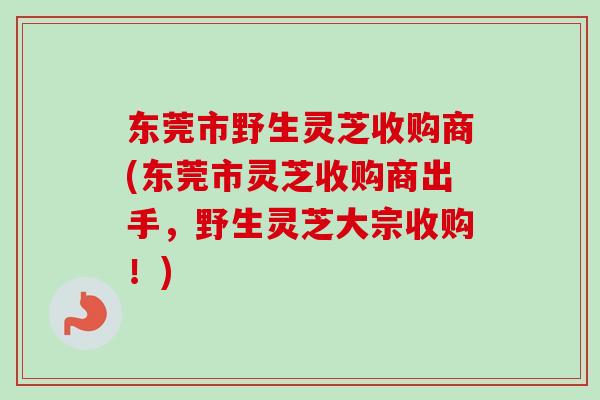 东莞市野生灵芝收购商(东莞市灵芝收购商出手，野生灵芝大宗收购！)