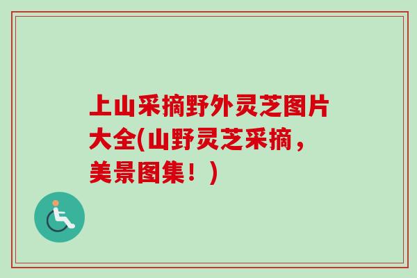 上山采摘野外灵芝图片大全(山野灵芝采摘，美景图集！)