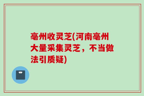 亳州收灵芝(河南亳州大量采集灵芝，不当做法引质疑)