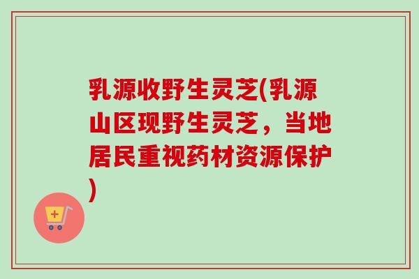 乳源收野生灵芝(乳源山区现野生灵芝，当地居民重视药材资源保护)