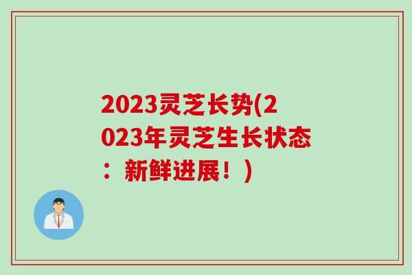 2023灵芝长势(2023年灵芝生长状态：新鲜进展！)