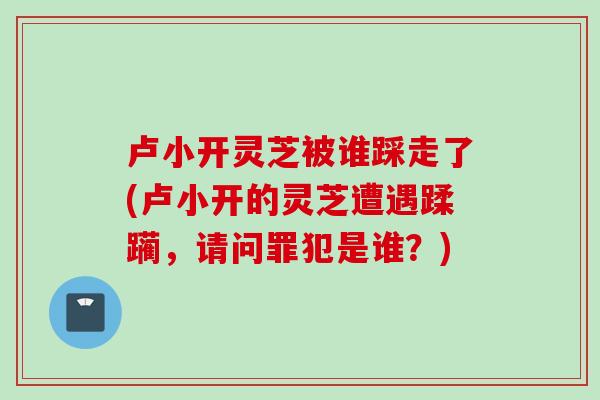 卢小开灵芝被谁踩走了(卢小开的灵芝遭遇蹂躏，请问罪犯是谁？)