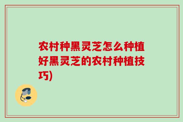 农村种黑灵芝怎么种植好黑灵芝的农村种植技巧)