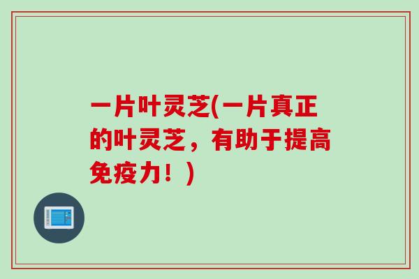 一片叶灵芝(一片真正的叶灵芝，有助于提高免疫力！)