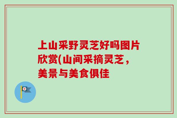 上山采野灵芝好吗图片欣赏(山间采摘灵芝，美景与美食俱佳