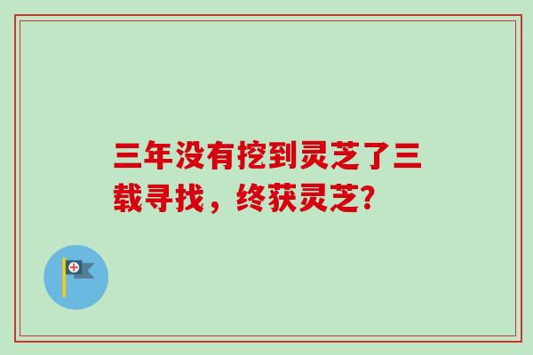 三年没有挖到灵芝了三载寻找，终获灵芝？
