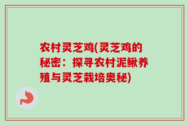 农村灵芝鸡(灵芝鸡的秘密：探寻农村泥鳅养殖与灵芝栽培奥秘)