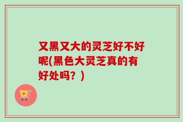 又黑又大的灵芝好不好呢(黑色大灵芝真的有好处吗？)