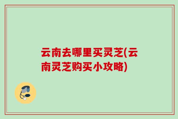 云南去哪里买灵芝(云南灵芝购买小攻略)