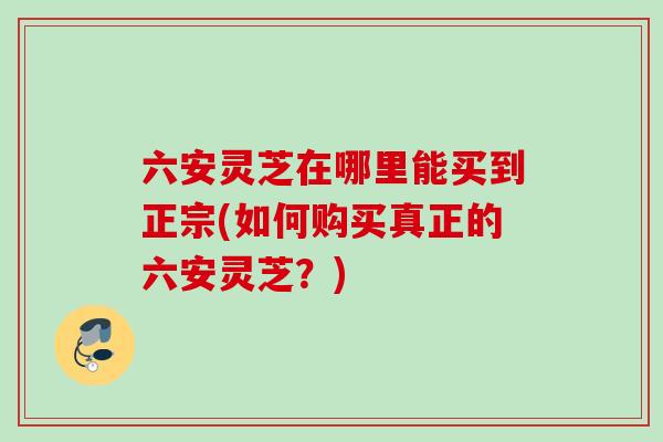 六安灵芝在哪里能买到正宗(如何购买真正的六安灵芝？)