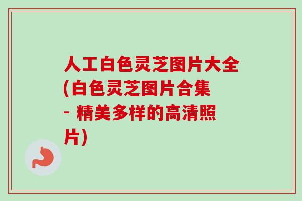 人工白色灵芝图片大全(白色灵芝图片合集 - 精美多样的高清照片)