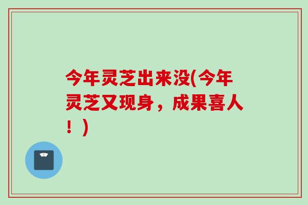 今年灵芝出来没(今年灵芝又现身，成果喜人！)