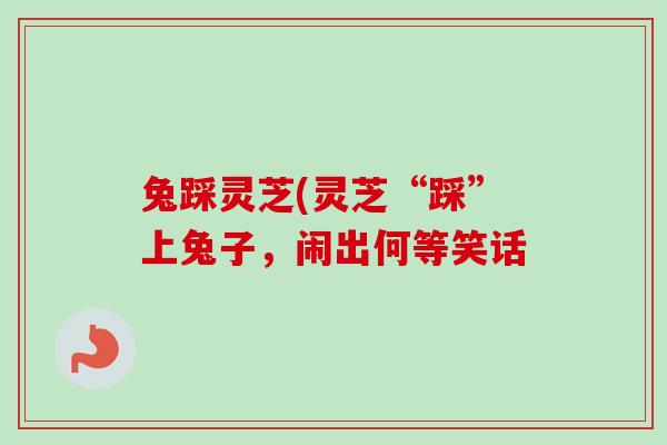 兔踩灵芝(灵芝“踩”上兔子，闹出何等笑话