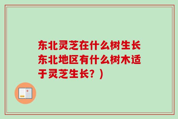 东北灵芝在什么树生长东北地区有什么树木适于灵芝生长？)