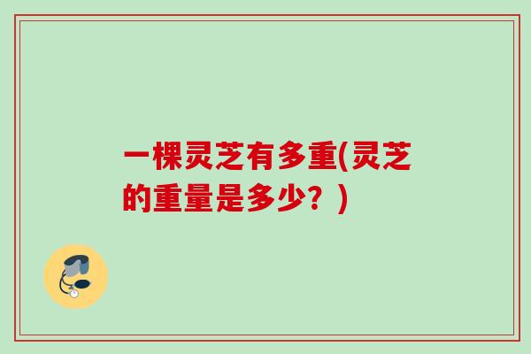 一棵灵芝有多重(灵芝的重量是多少？)