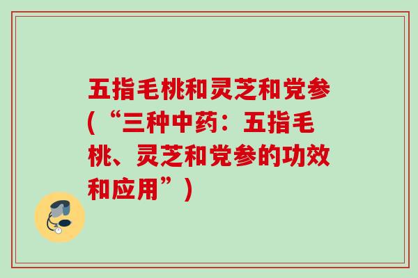 五指毛桃和灵芝和党参(“三种中药：五指毛桃、灵芝和党参的功效和应用”)