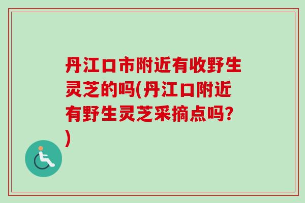 丹江口市附近有收野生灵芝的吗(丹江口附近有野生灵芝采摘点吗？)