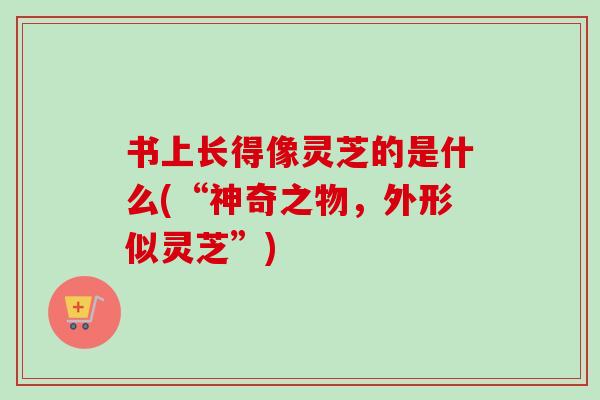 书上长得像灵芝的是什么(“神奇之物,外形似灵芝”) 书上长得像灵芝的是什么(“神奇之物,外形似灵芝”)