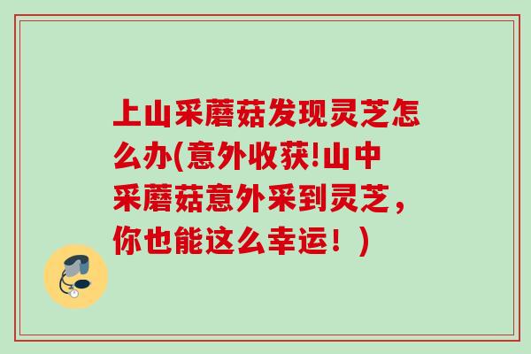 上山采蘑菇发现灵芝怎么办(意外收获!山中采蘑菇意外采到灵芝，你也能这么幸运！)