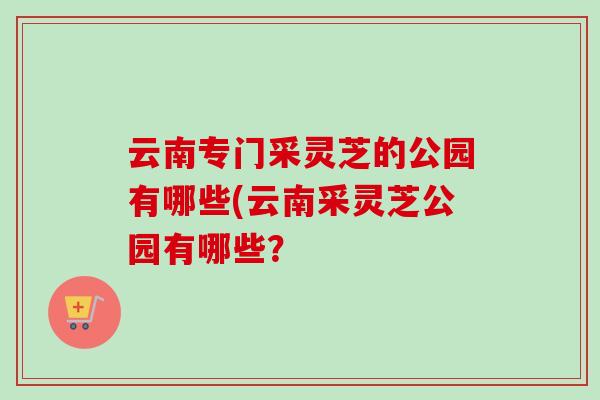 云南专门采灵芝的公园有哪些(云南采灵芝公园有哪些？