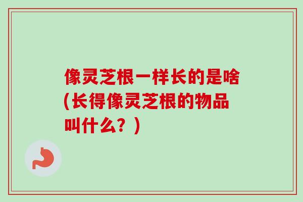 像灵芝根一样长的是啥(长得像灵芝根的物品叫什么？)