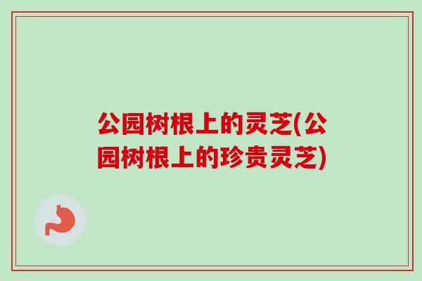 公园树根上的灵芝(公园树根上的珍贵灵芝)