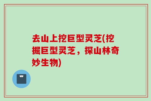 去山上挖巨型灵芝(挖掘巨型灵芝,探山林奇妙生物) 去山上挖巨型灵芝(挖掘巨型灵芝,探山林奇妙生物)