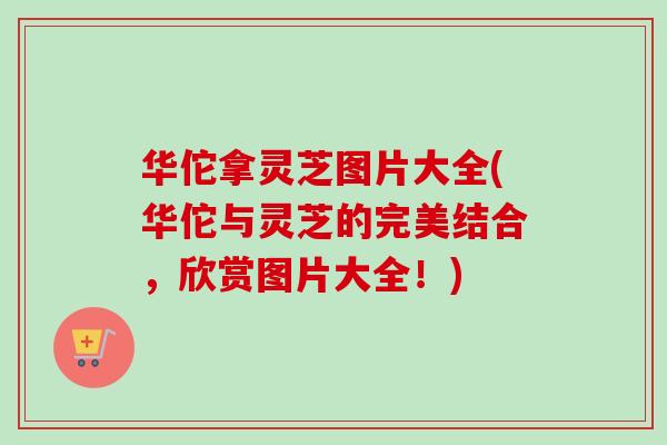 华佗拿灵芝图片大全(华佗与灵芝的完美结合，欣赏图片大全！)