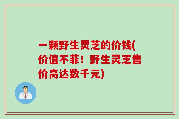 一颗野生灵芝的价钱(价值不菲！野生灵芝售价高达数千元)