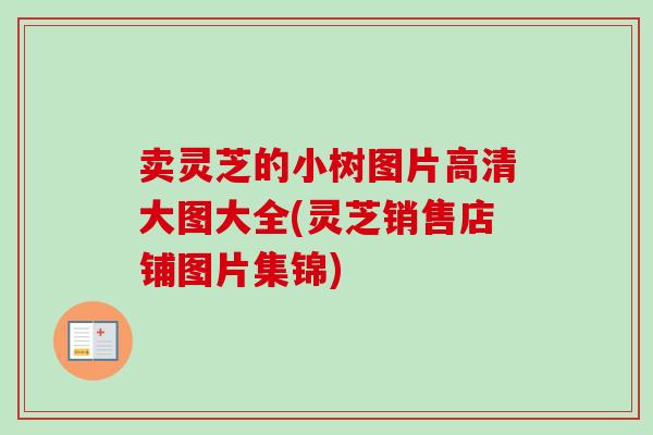卖灵芝的小树图片高清大图大全(灵芝销售店铺图片集锦)