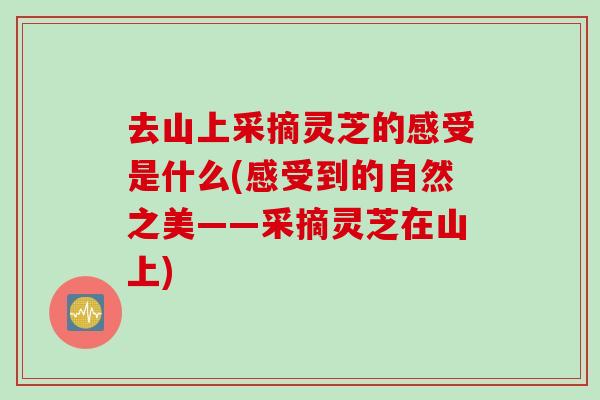 去山上采摘灵芝的感受是什么(感受到的自然之美——采摘灵芝在山上)