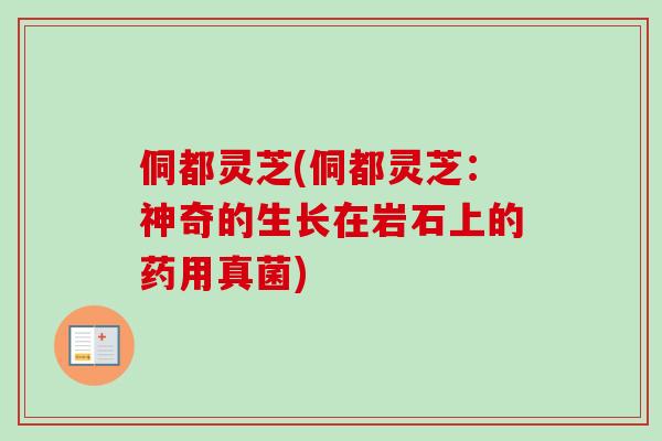 侗都灵芝(侗都灵芝：神奇的生长在岩石上的药用真菌)