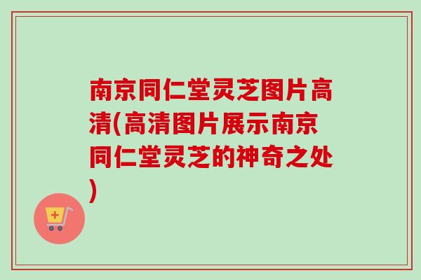 南京同仁堂灵芝图片高清(高清图片展示南京同仁堂灵芝的神奇之处)