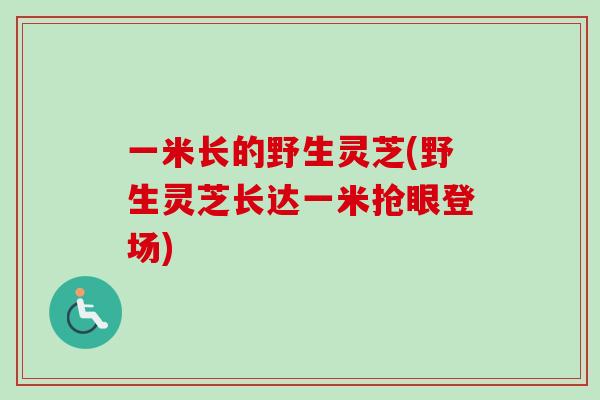 一米长的野生灵芝(野生灵芝长达一米抢眼登场)