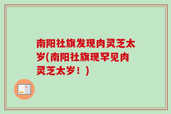 南阳社旗发现肉灵芝太岁(南阳社旗现罕见肉灵芝太岁！)
